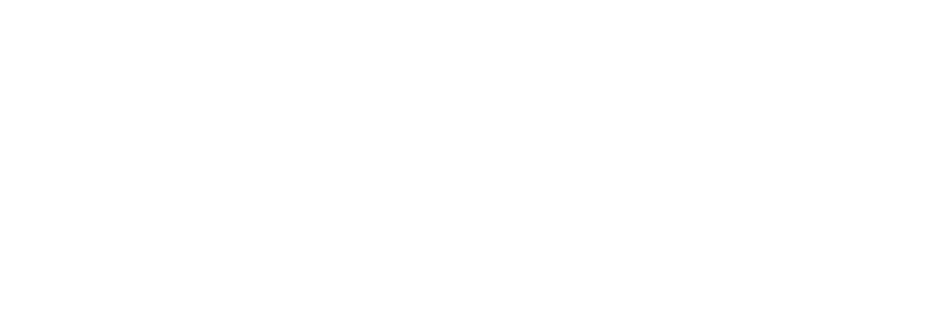 PKT Steuerberatung- und Treuhand AG